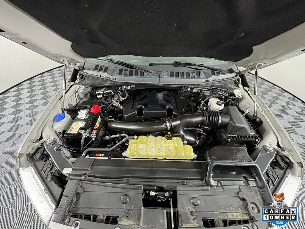 Used 2019 Green Ford Lariat image 29
