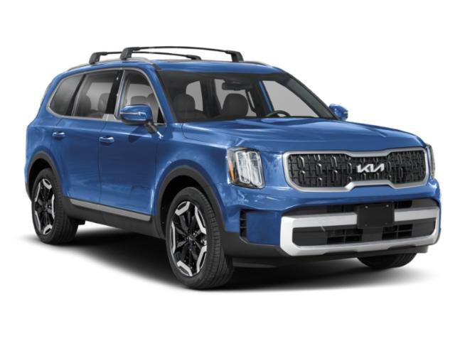 Used 2025 Panthera Metal Kia EX image 9