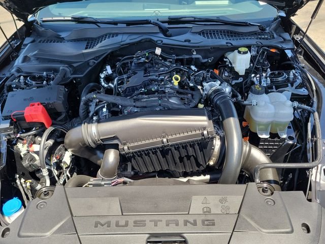 Used 2026 Shadow Black Ford EcoBoost Premium image 21