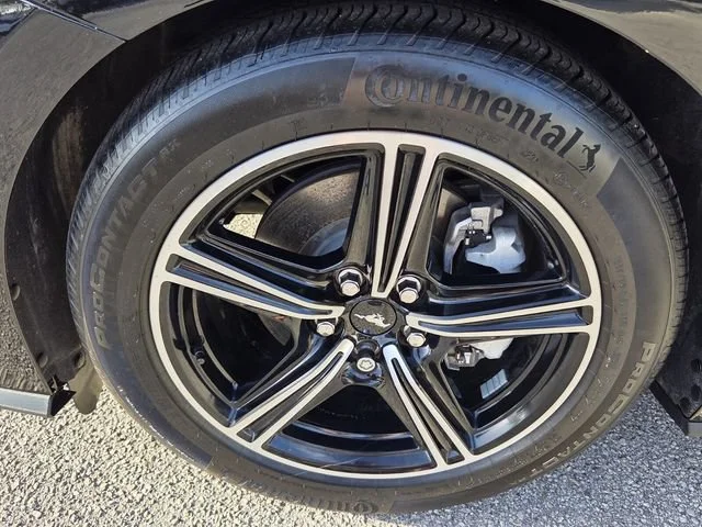 2024 Ford Mustang EcoBoost Premium - Photo 11