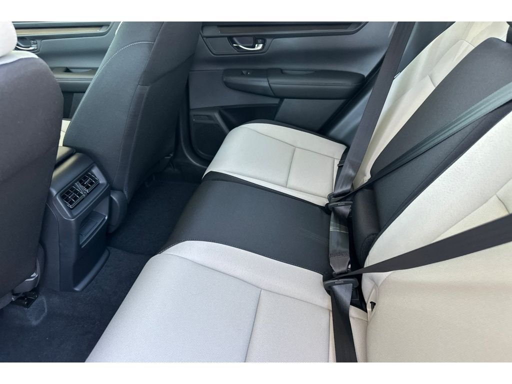 New 2026 Platinum White Pearl Honda LX image 14