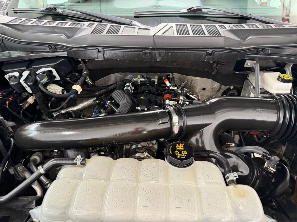 2025 Ford F-150 XLT - Photo 7