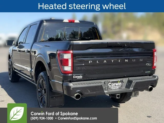 Used 2023 Agate Black Metallic Ford Platinum image 18