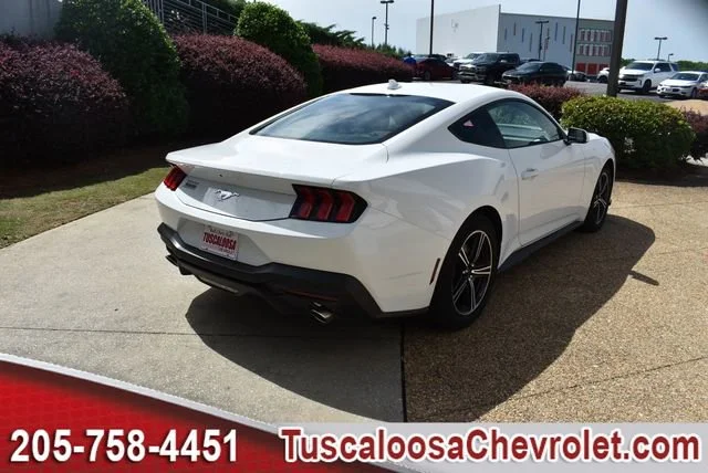 Used 2025 White Ford EcoBoost Fastback image 10