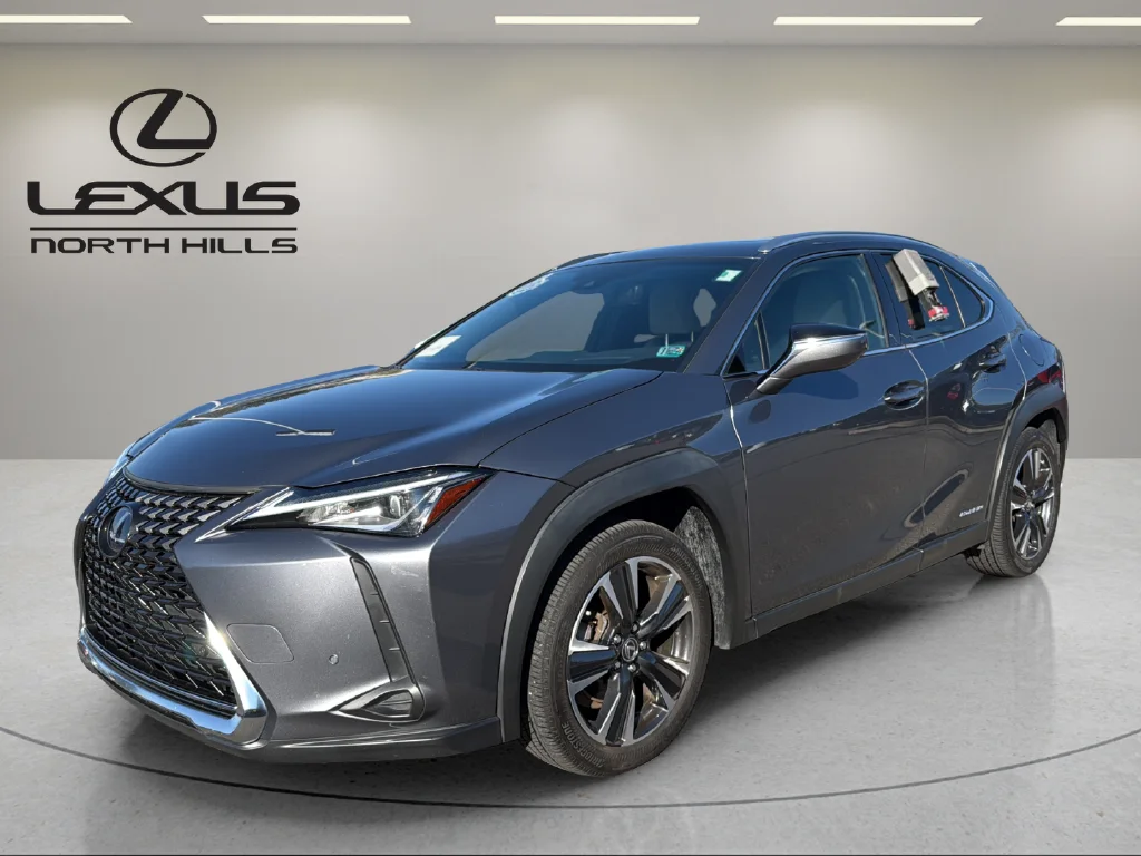 2021 Lexus UX Hybrid