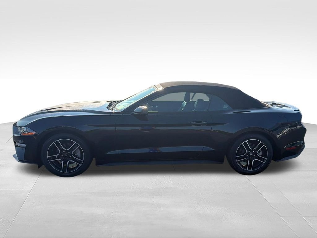 Used 2020 Black Ford EcoBoost Premium image 2