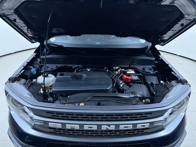 Used 2021 ALTO BLUE Ford Badlands image 12