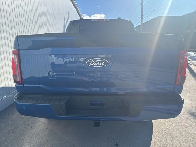 2025 Ford F-150 STX - Photo 18