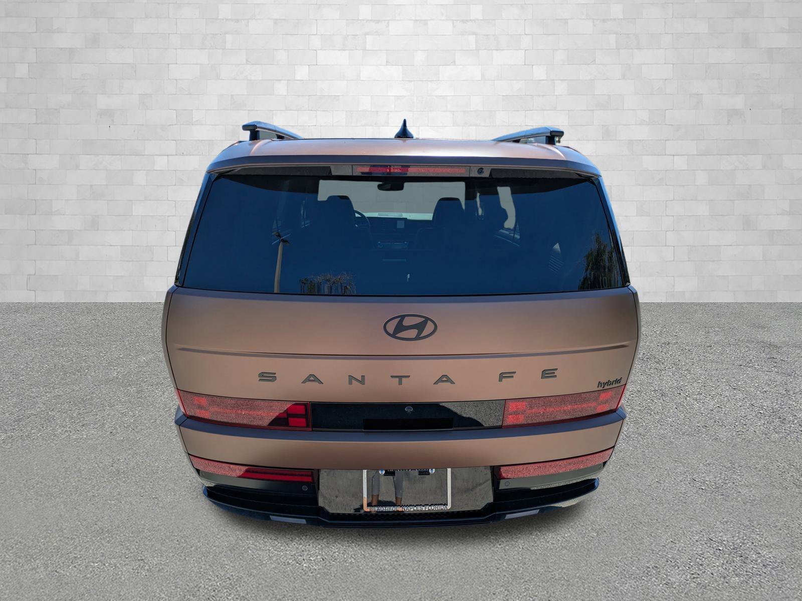 New 2026 Earthy Brass Matte Hyundai Calligraphy image 3