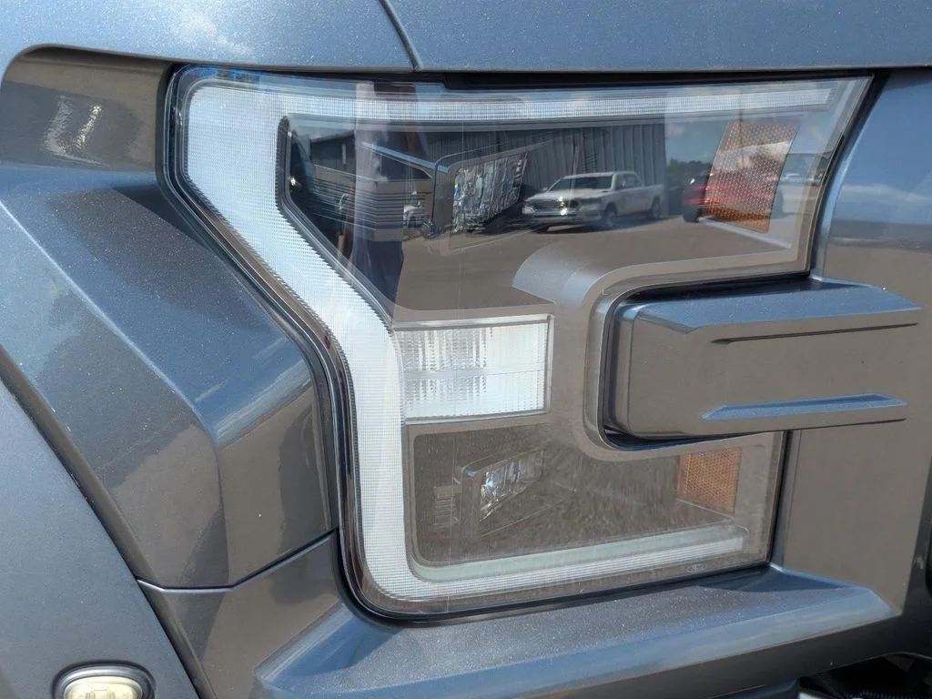 Used 2019 Gray Ford Raptor image 4
