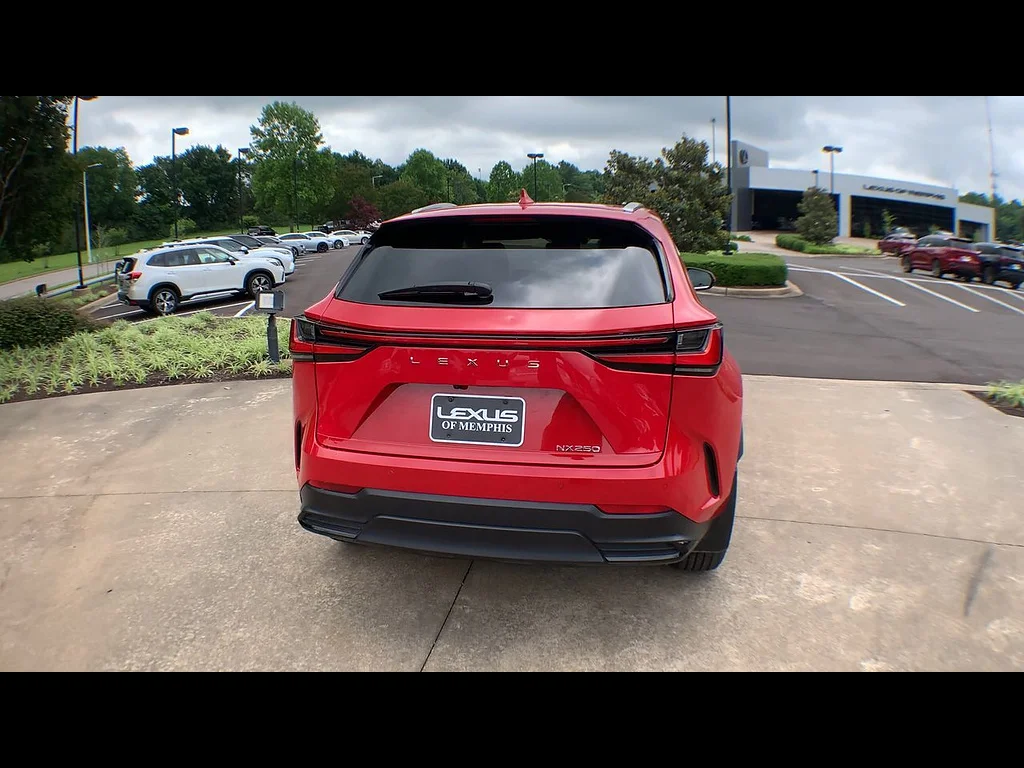 Certified Used 2025 REDLINE Lexus NX 250 Premium image 7