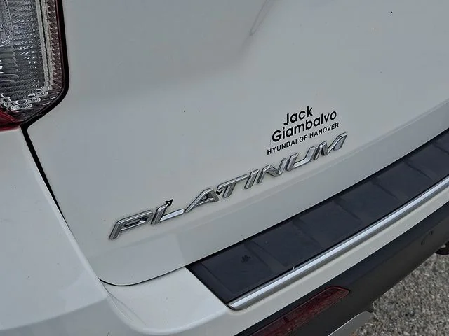 Used 2020 White Ford Platinum image 39
