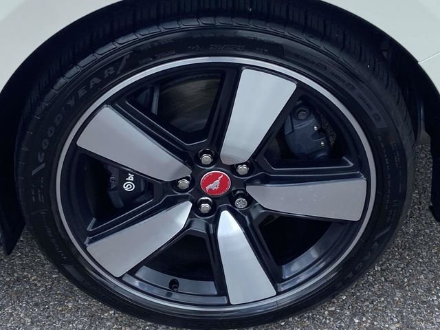 Certified Used 2025 White Ford GT Premium image 9