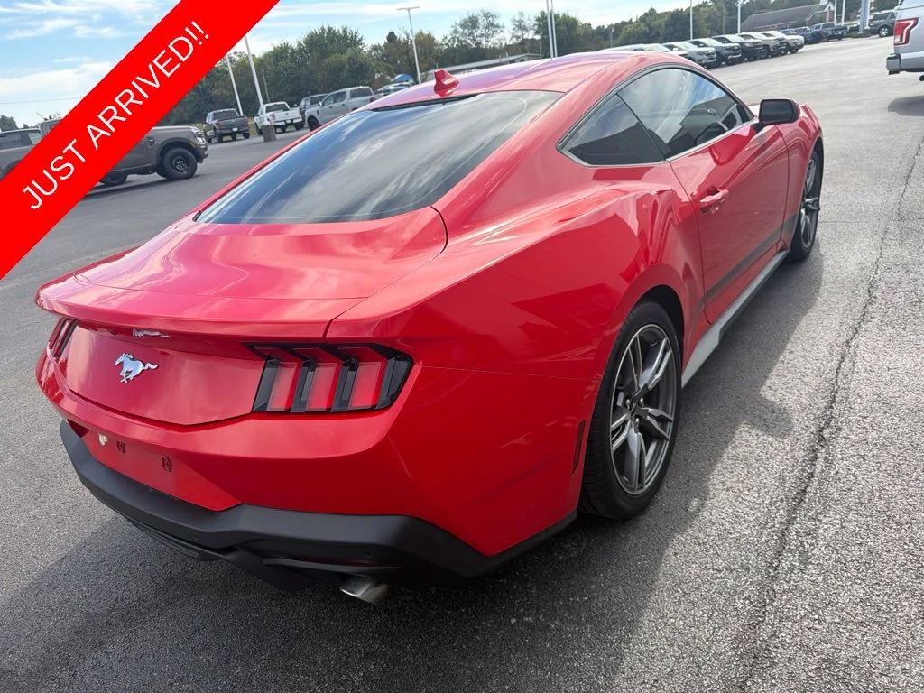 Used 2024 Race Red Ford EcoBoost image 4