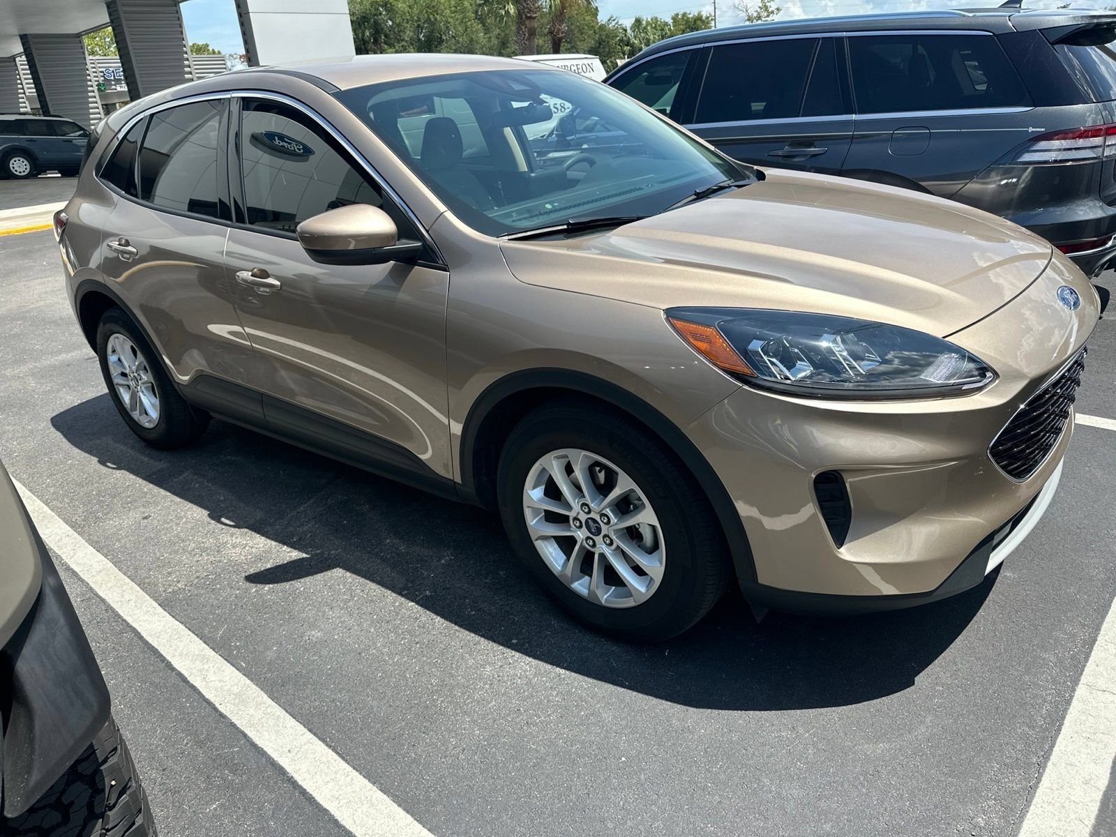 2020 Ford Escape SE FWD's photo