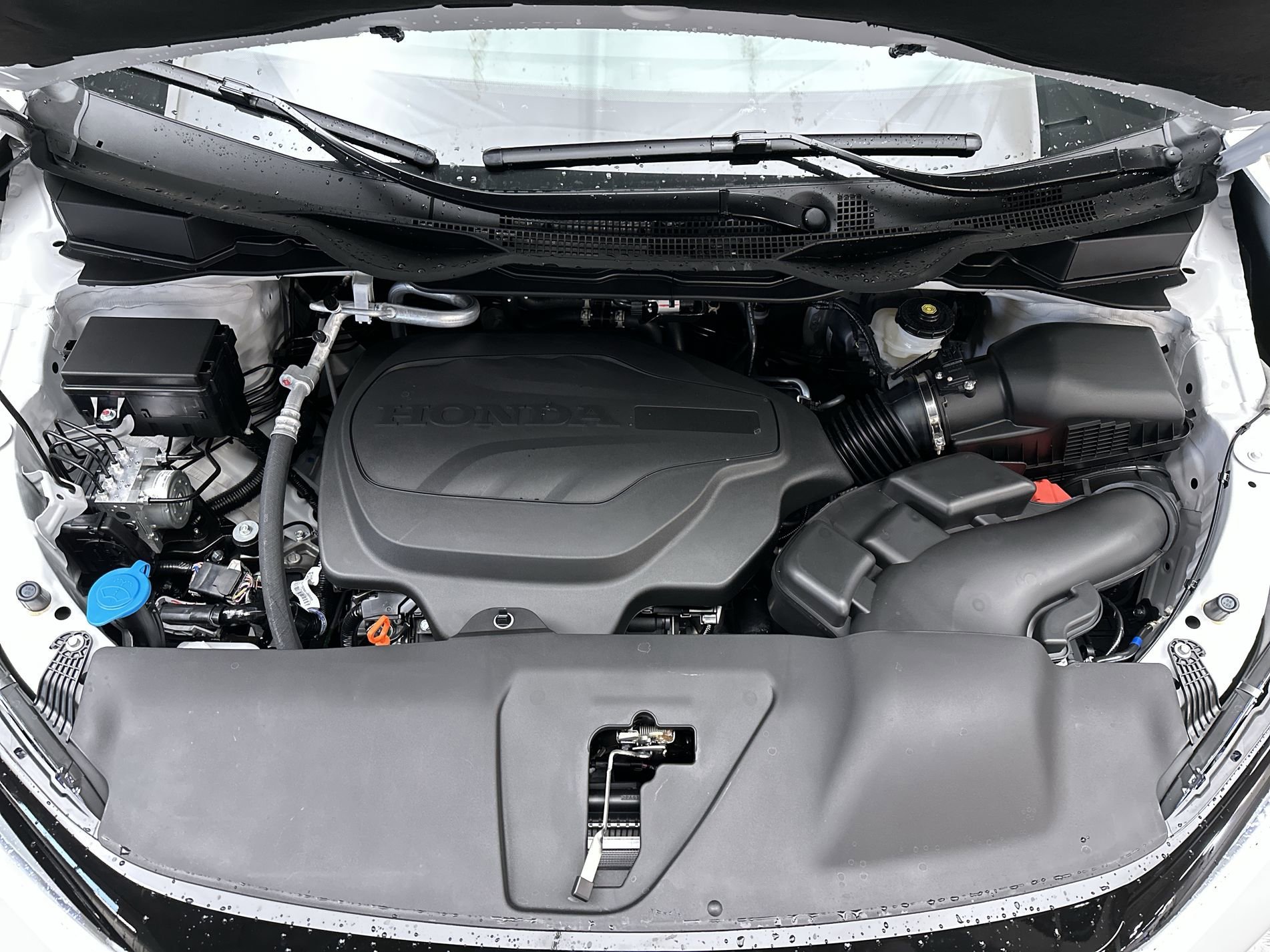 Used 2026 Platinum White Pearl Honda Sport-L image 28
