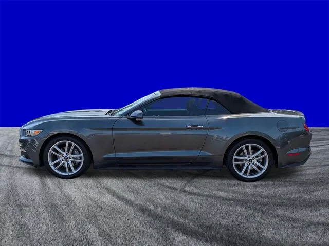 Used 2016 Magnetic Metallic Ford EcoBoost Premium image 7
