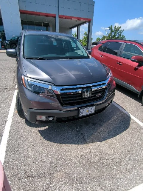 Used 2020 Gray Honda Sport image 4