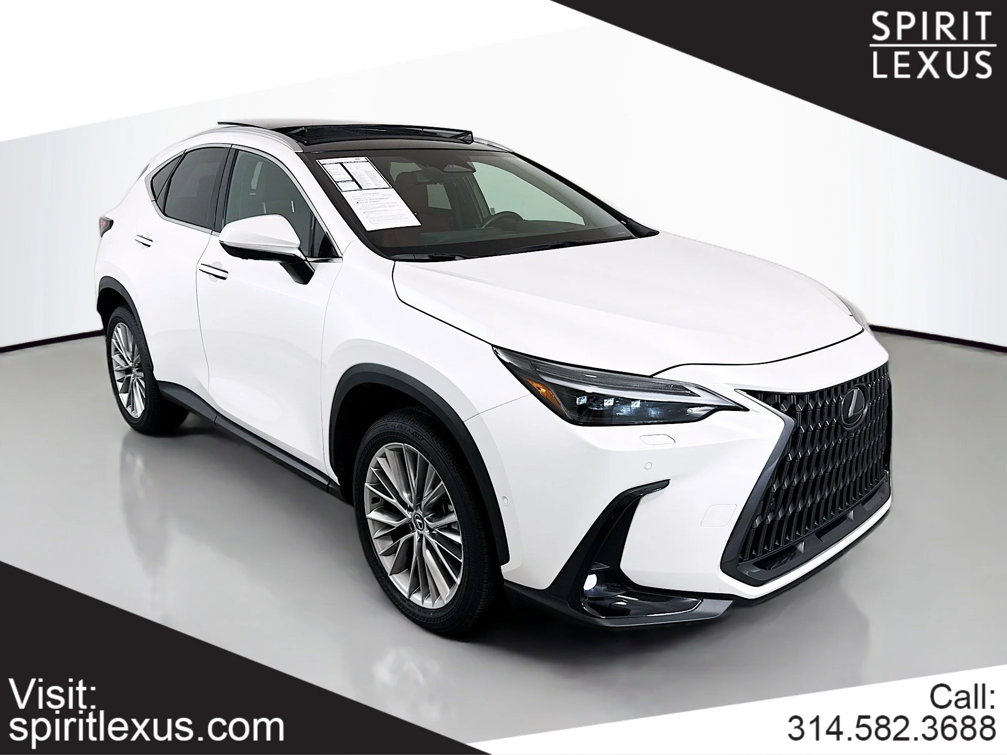 2025 Lexus NX 350h 350h Luxury AWD's photo