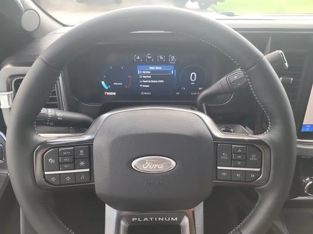 New 2026 Gray Metallic Ford Platinum image 31
