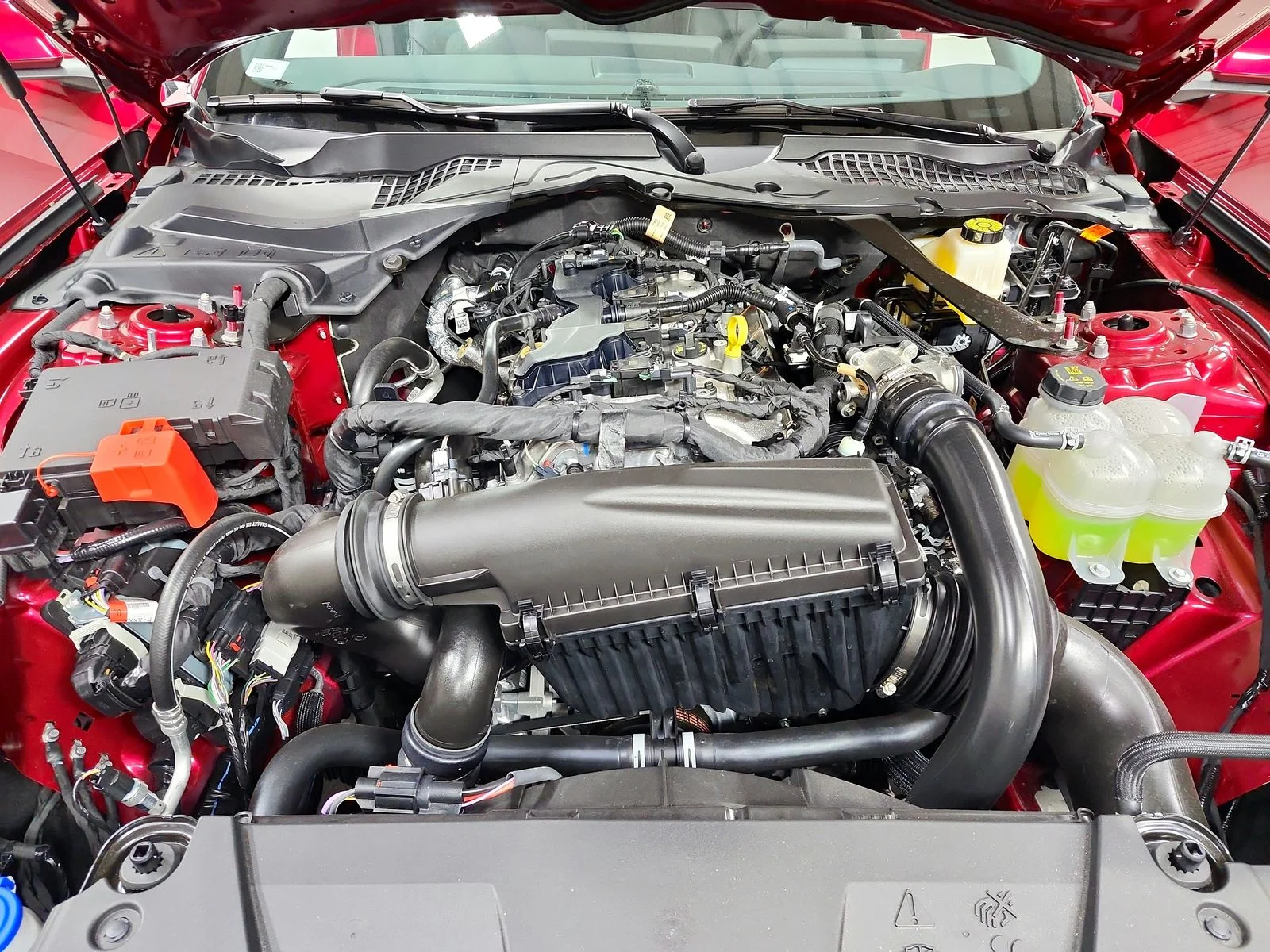 New 2026 Molten Magenta Metallic Tinted Clearcoat Ford EcoBoost® Premium Fastback image 17