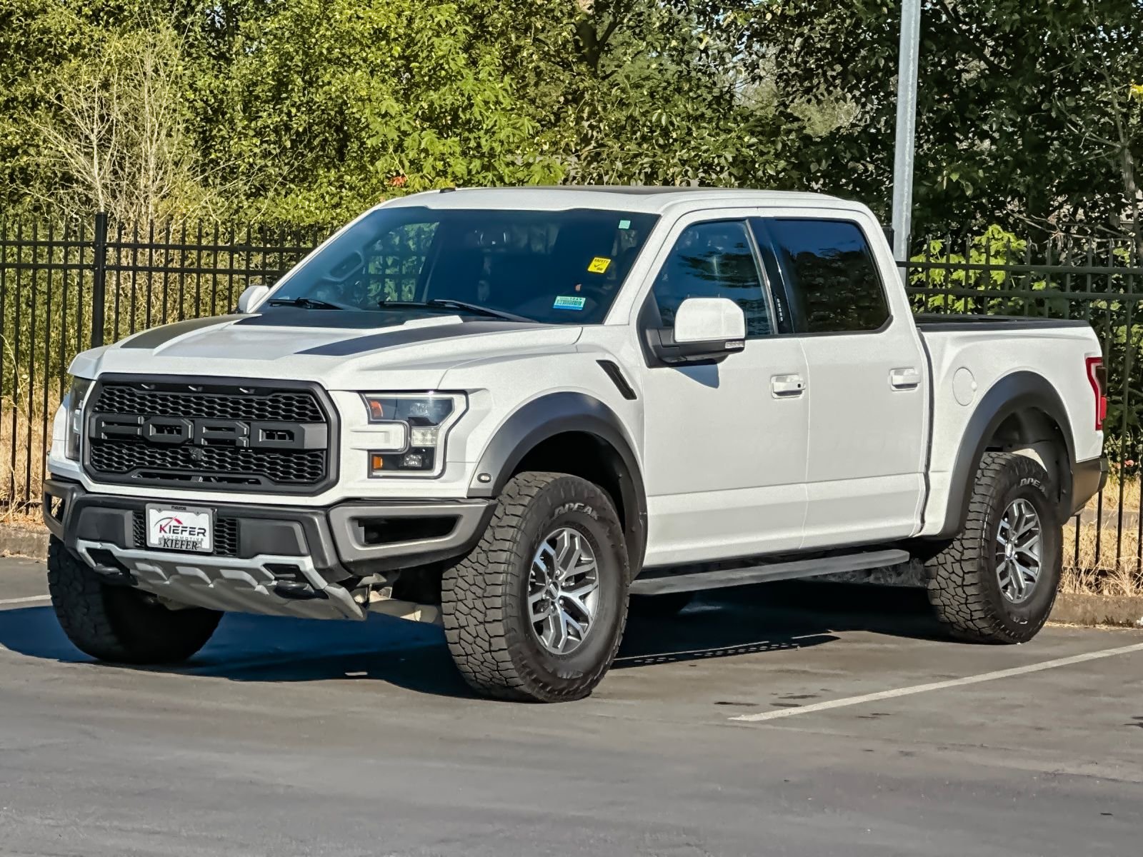 Used 2018 White Ford Raptor image 8