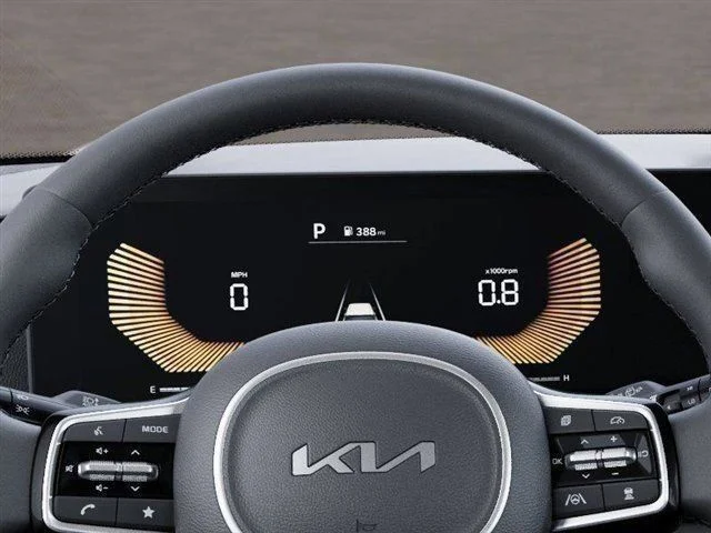 New 2026 Panthera Metal Kia EX image 21