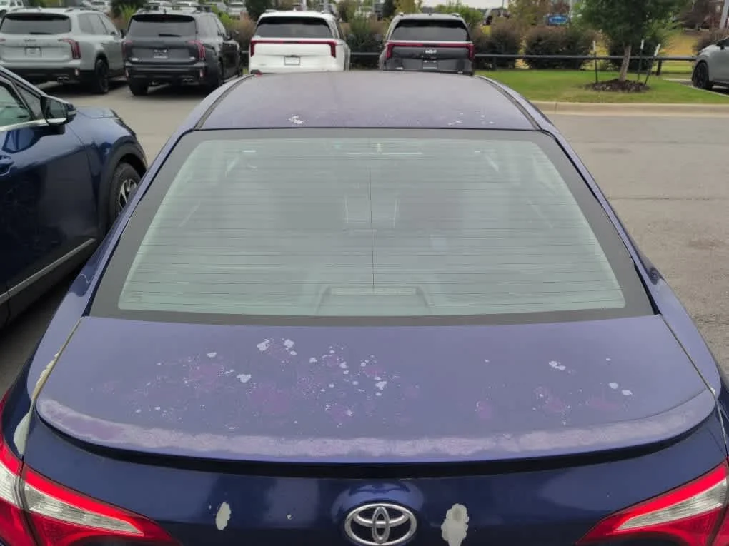 Used 2014 BLUE CRUSH META Toyota S Plus image 5