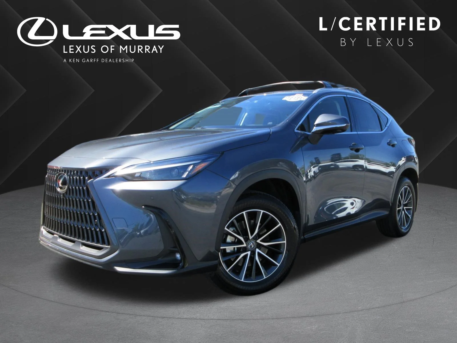 2025 Lexus NX 350h 350h Premium AWD's photo