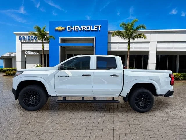 New 2026 Summit White Chevrolet WT image 4