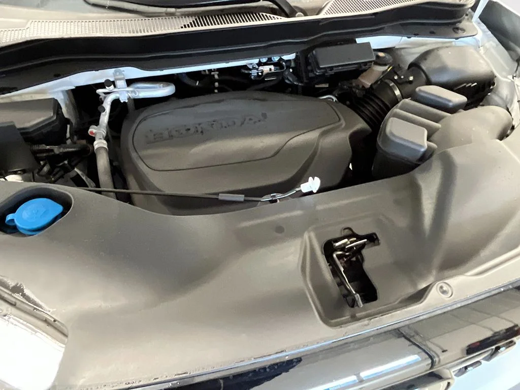 New 2026 Platinum White Pearl Honda Black Edition image 11