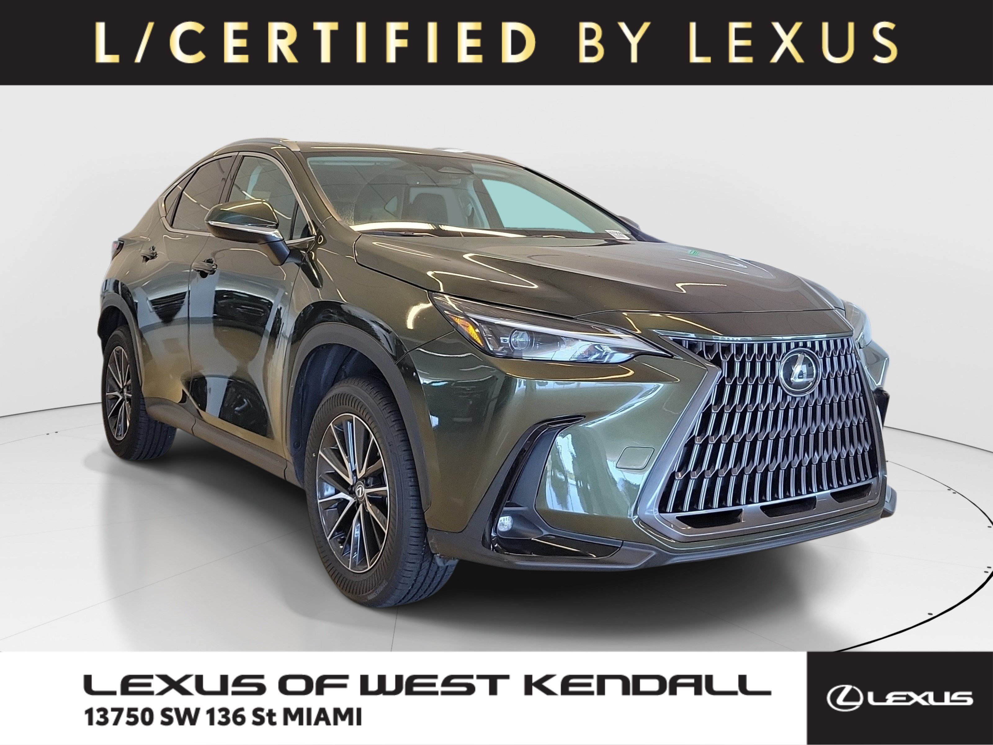 2024 Lexus NX