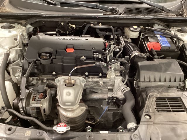Used 2024  Honda LX image 10