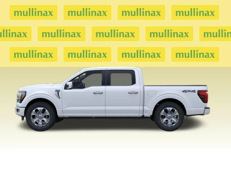 New 2026 White Ford Platinum image 12