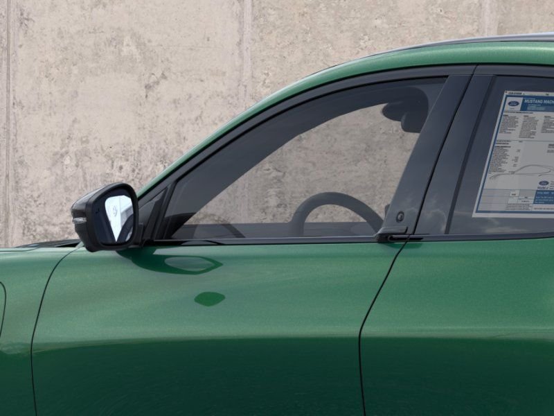 New 2026 Eruption Green Metallic Ford Premium image 20