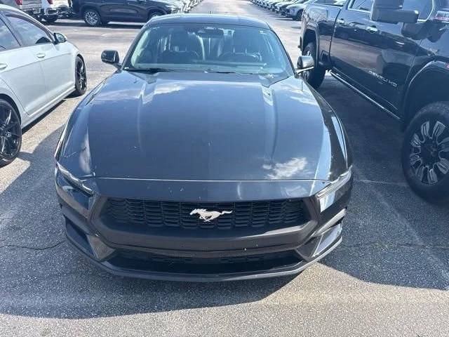 Used 2024 Black Ford EcoBoost Premium image 4