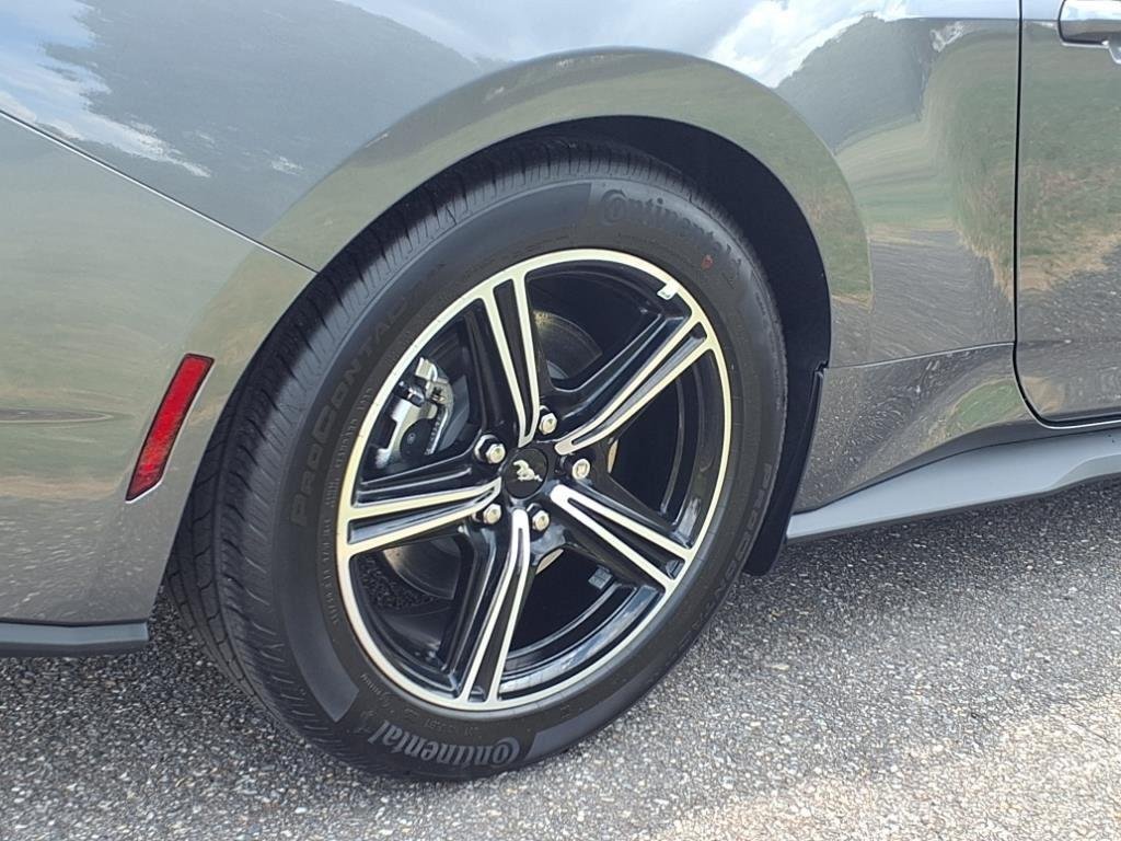 2025 Ford Mustang EcoBoost Premium Fastback - Photo 20
