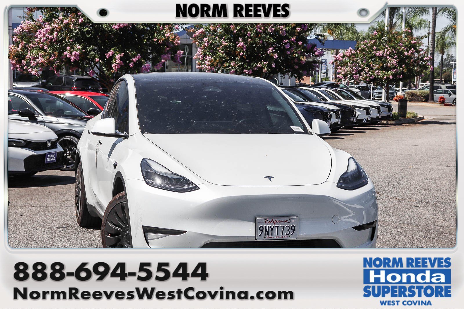 2024 Tesla Model Y