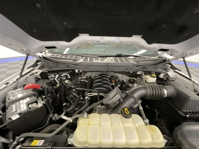 Used 2022 Star White Ford Platinum image 25