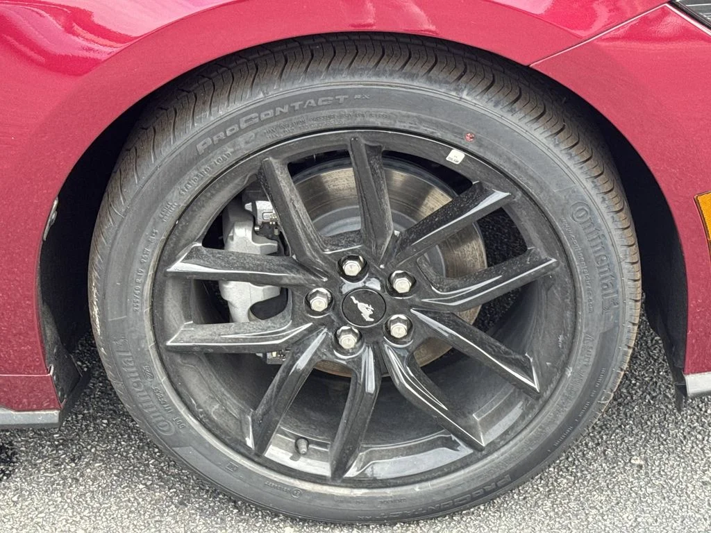 New 2026 Molten Magenta Metallic Tinted Clearcoat Ford EcoBoost® Fastback image 12