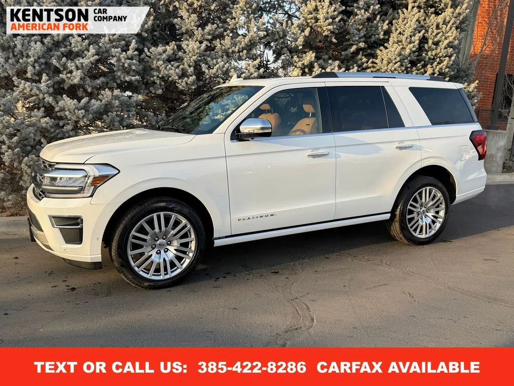2024 Ford Expedition Platinum 4x4's photo