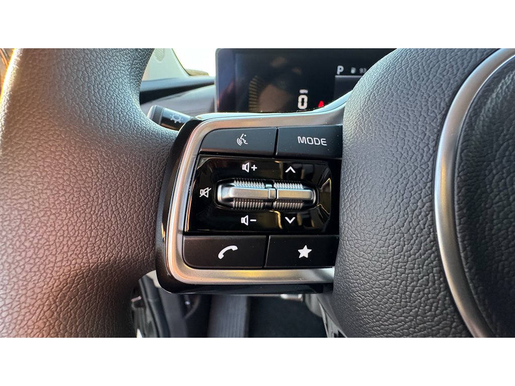 New 2026 Panthera Metal Kia LX image 10