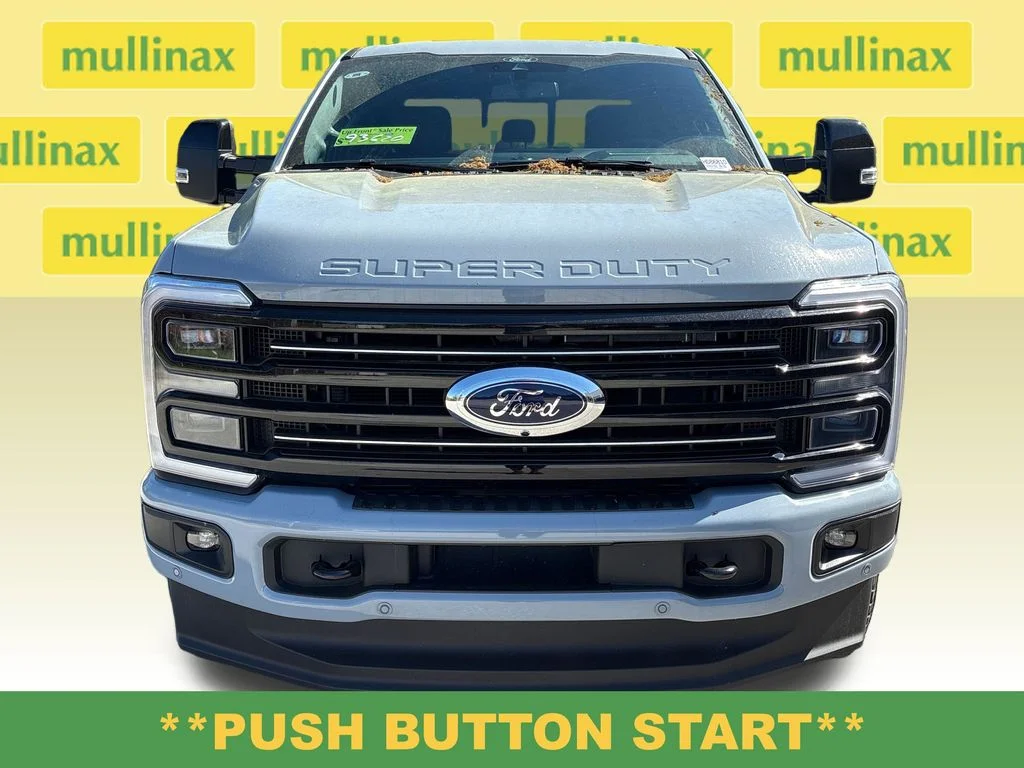 New 2026 Gray Ford Platinum image 22