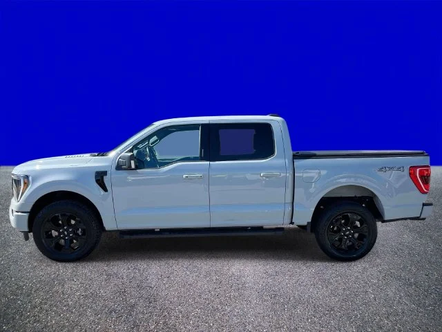 Used 2023 Avalanche Ford XLT image 6