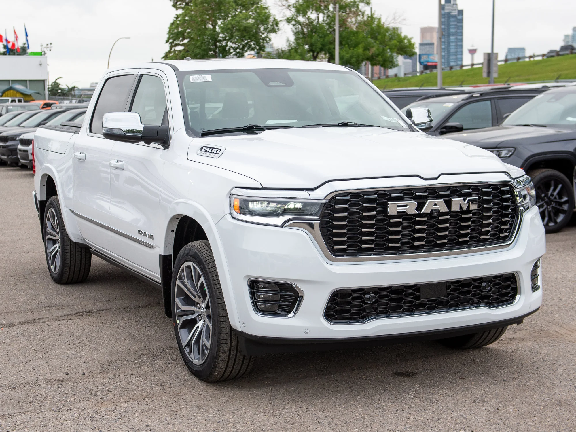 New 2026 White RAM Tungsten* image 11