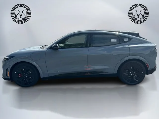 2025 Ford Mustang Mach-E GT - Photo 10