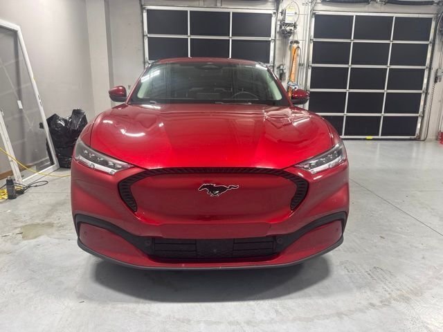 Used 2022 Red Ford Select image 3