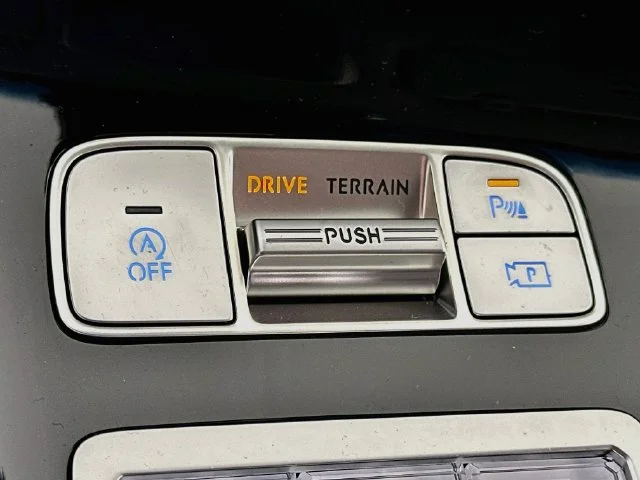 New 2027 White Genesis 2.5T image 21