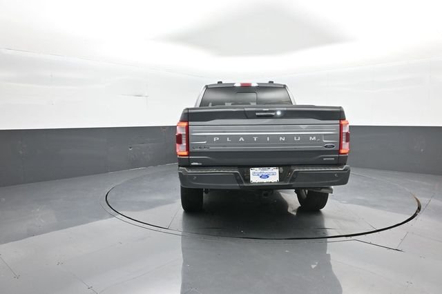 Used 2023 Gray Ford Platinum image 6