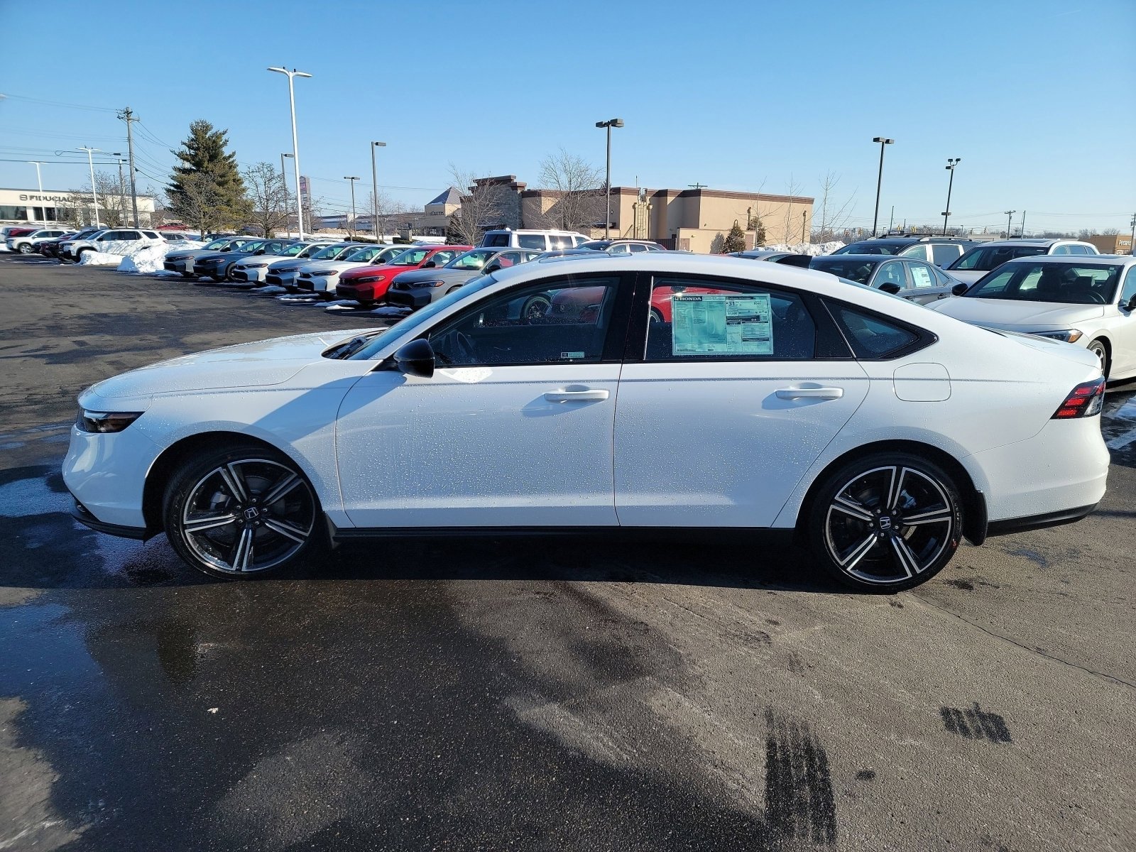 New 2026 Platinum White Pearl Honda SE image 16